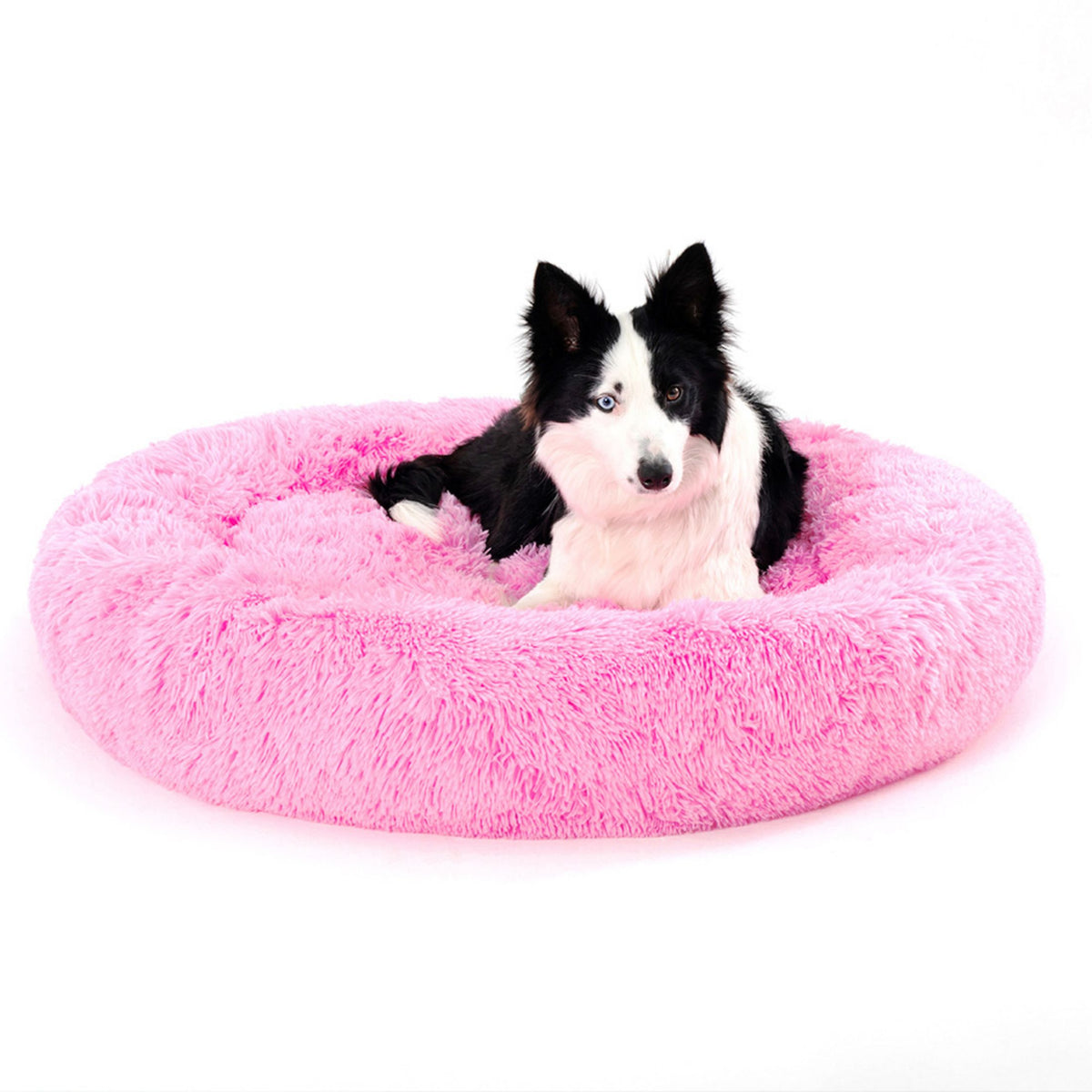 Pink fluffy donut bed with dog