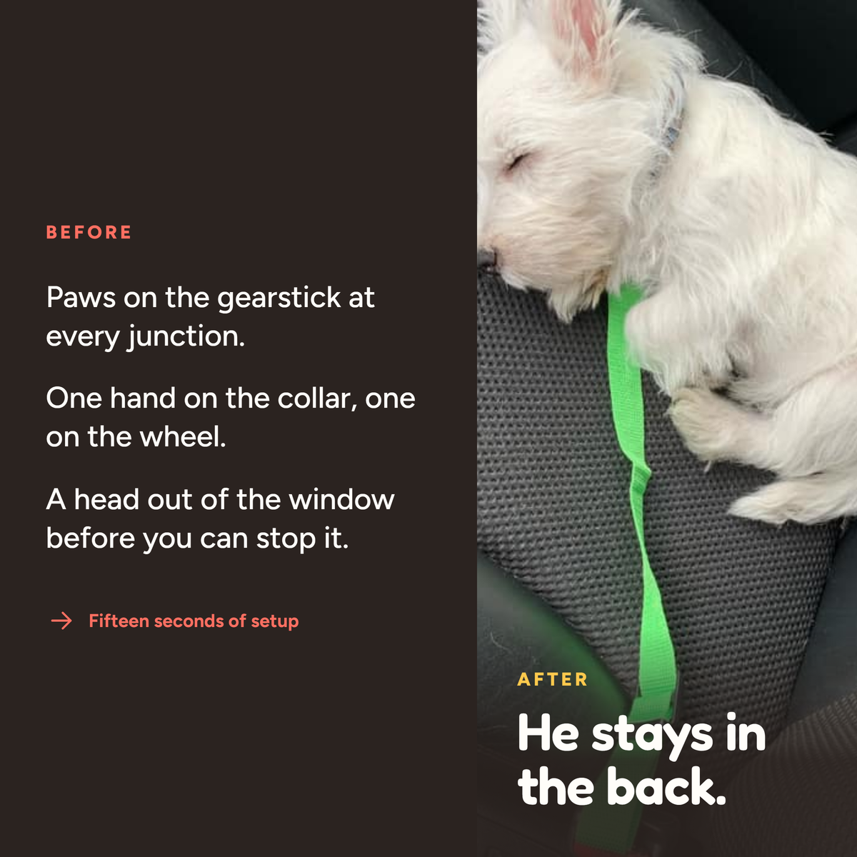 Fur & About seat belt, BeforeAfter