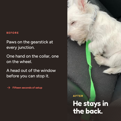 Fur & About seat belt, BeforeAfter