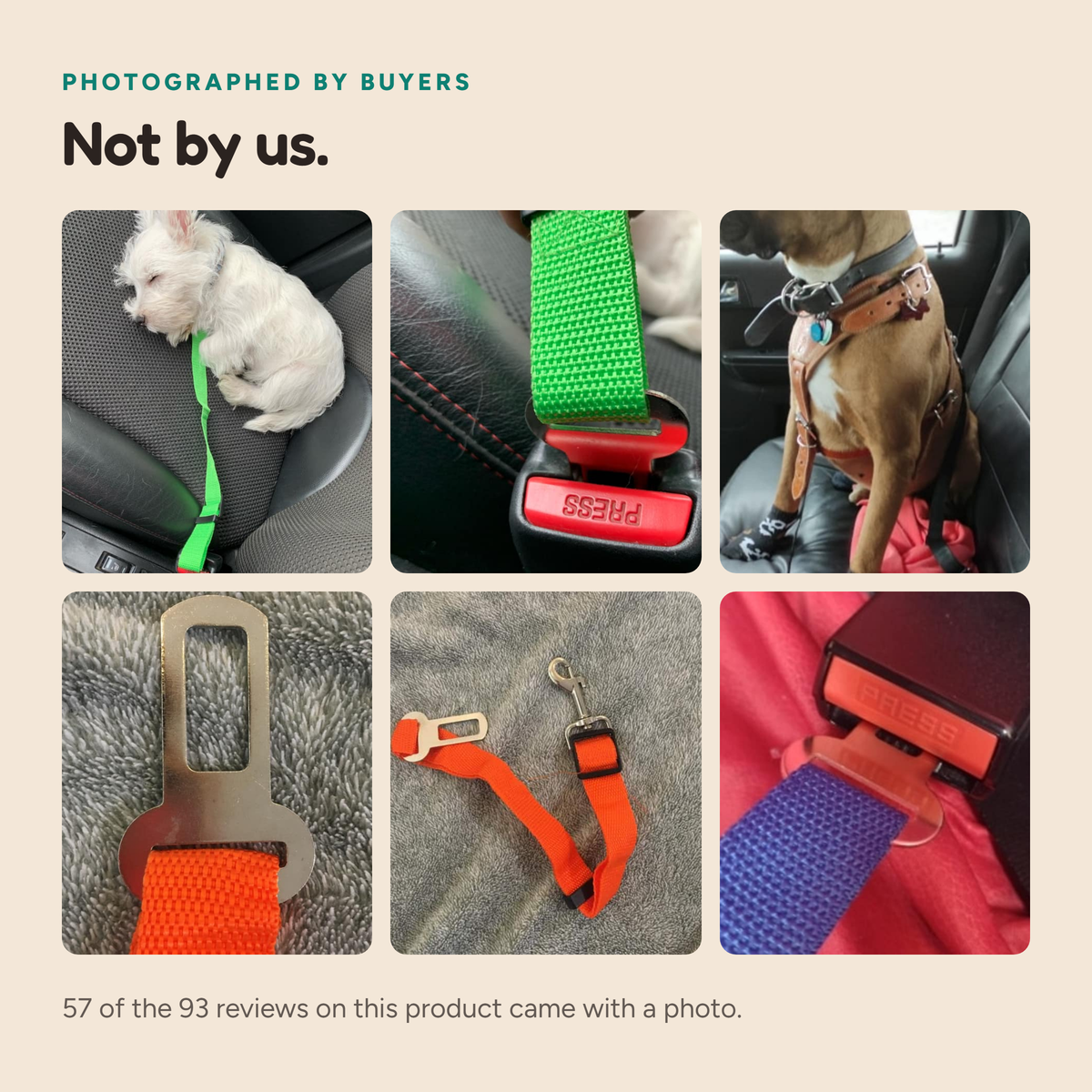 Fur & About seat belt, Buyers