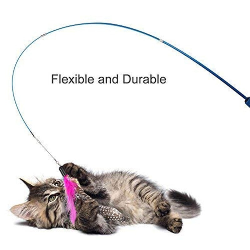 Cat playing with the retractable teaser wand