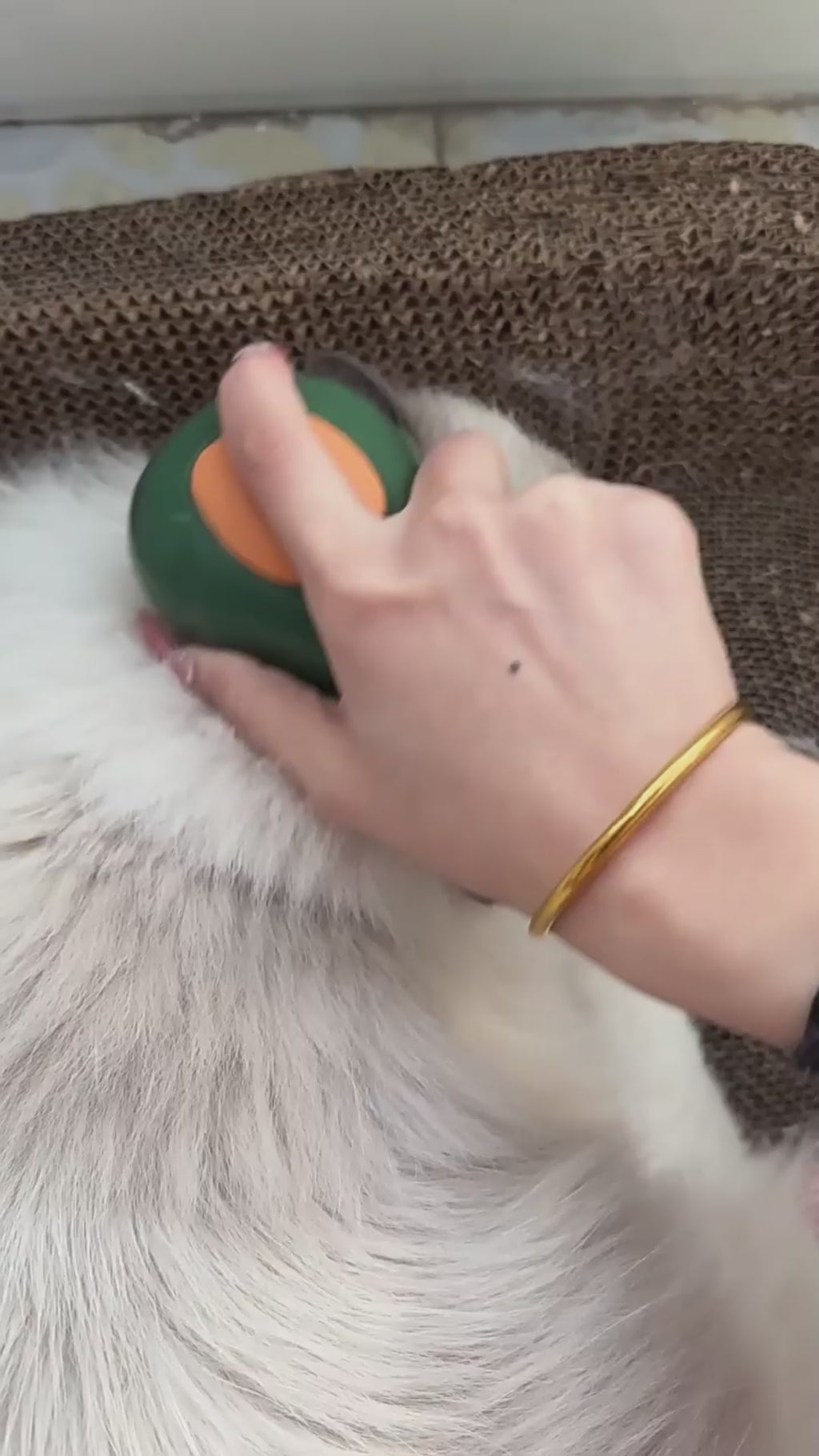 Steamy Self-Cleaning Cat Brush – Avocado-Shaped Electric Grooming Tool