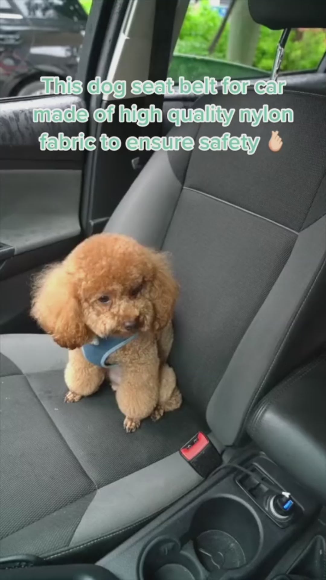 Adjustable pet car seat belt in use