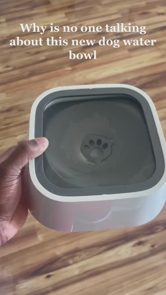 Floating No-Spill Pet Water Bowl – Anti-Overflow Slow Feeder
