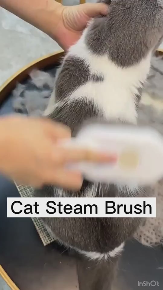 3-in-1 Electric Steam Pet Brush – Deshedding & Massage Tool