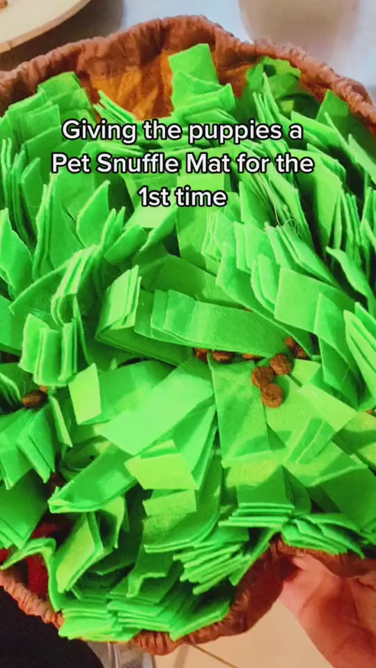 Snuffle Mat Puzzle Feeder – Interactive Sniffing Toy for Dogs