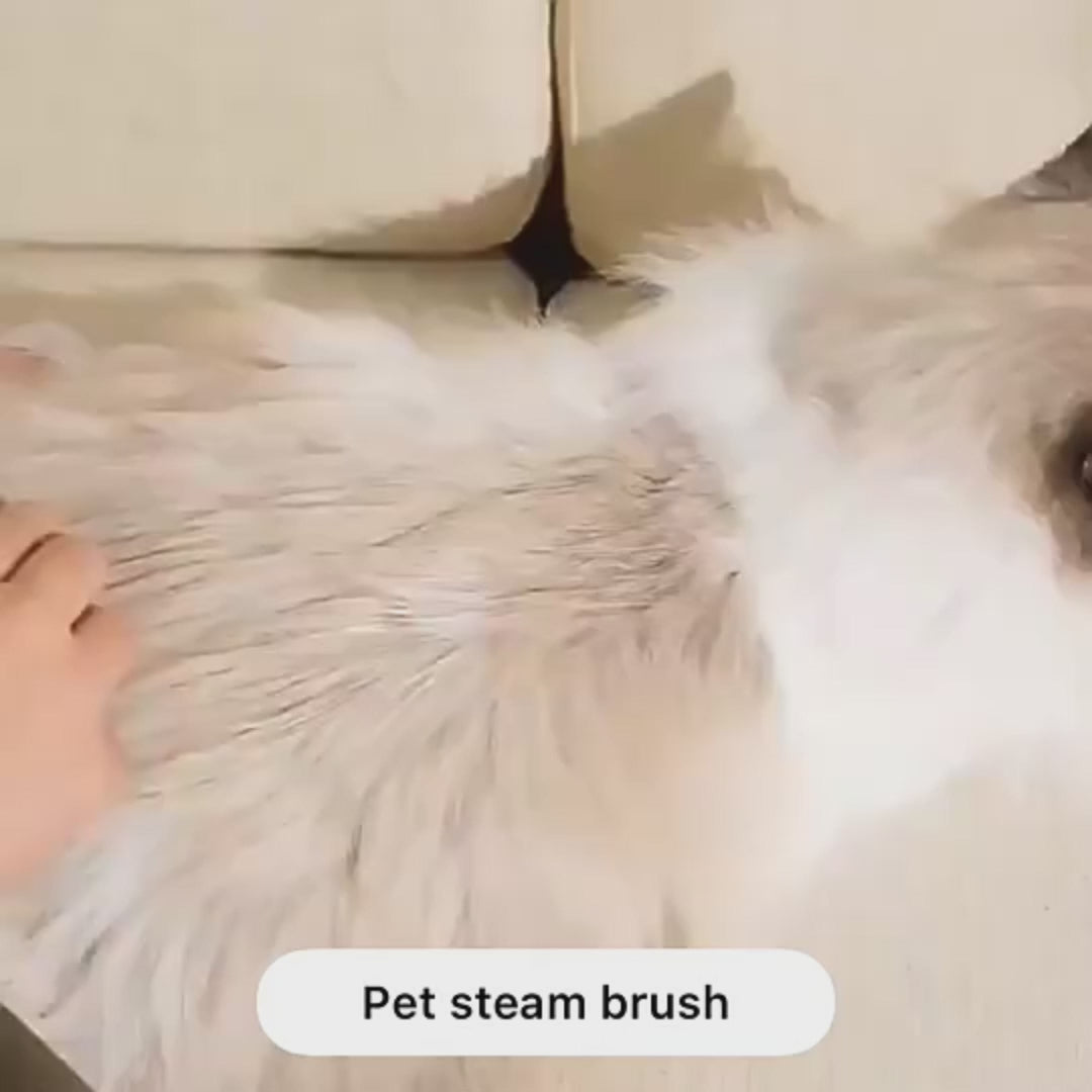 Steamy Self-Cleaning Cat Brush – Avocado-Shaped Electric Grooming Tool