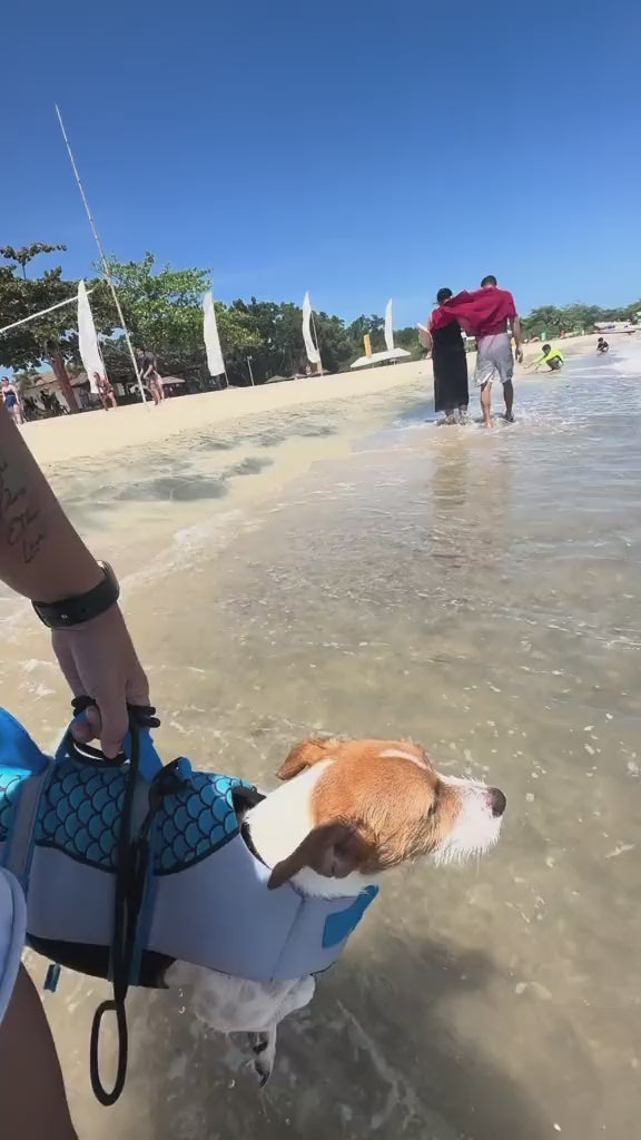 Dog Life Jacket – Buoyant Swim Vest for Pool & Beach