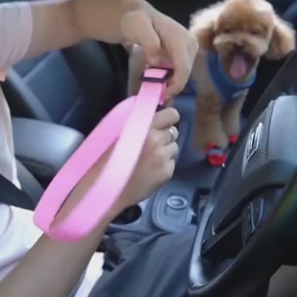 Adjustable pet car seat belt in use