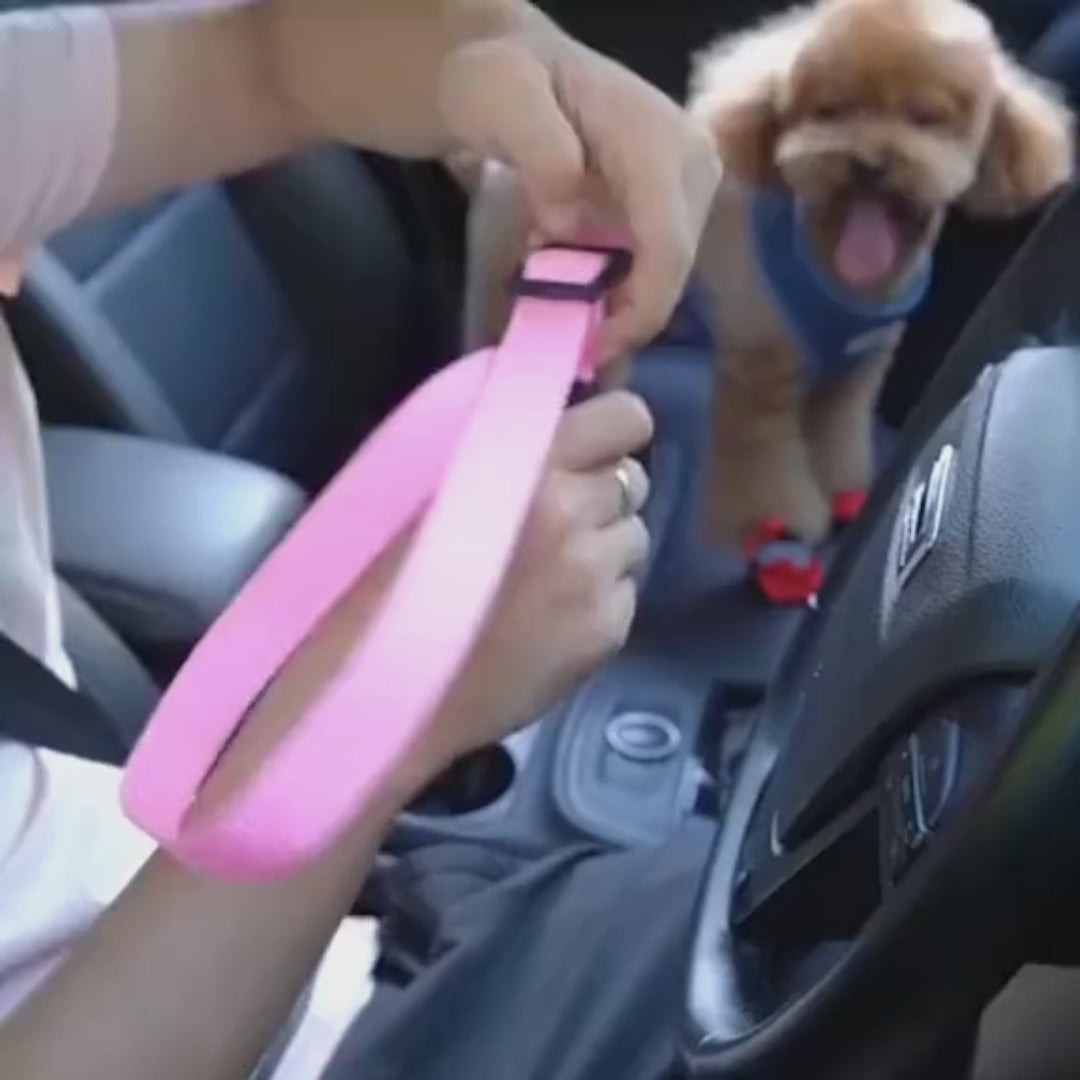 Adjustable pet car seat belt in use